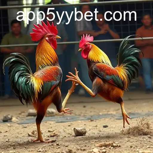 The Rise of Online Sabong and the Role of 5yybet in the Digital Cockfighting Arena